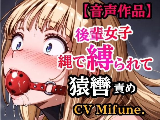 【ぷよのDID倉庫】先輩の夢を叶えてあげた結果… 縛られて猿轡を嵌められ、よだれ垂らして悶える後輩｜全年齢向け-評価