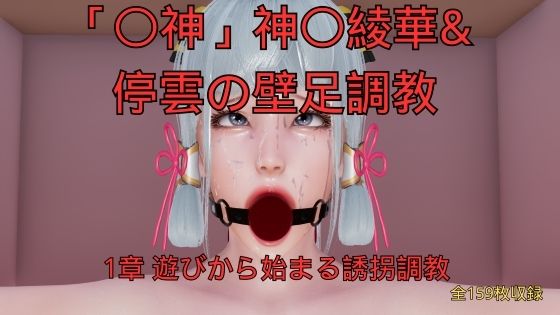 【美脚調教工房】神〇綾華 停雲の壁足調教（〇神、崩〇スターレイル） 1章 遊びから始まる誘拐調教｜3DCG-評価