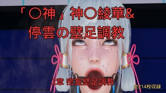 【美脚調教工房】神〇綾華 停雲の壁足調教（〇神、崩〇スターレイル） 2章 密室壁足調教｜3DCG-評価