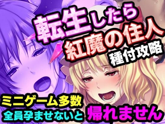 【夢幻Paradox】転生したら紅魔館の住人だった件｜処女-評価