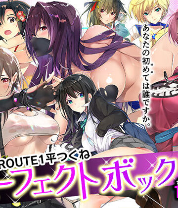 【ROUTE1】ROUTE1 平つくね パーフェクトボックス｜フェラ-評価5.00