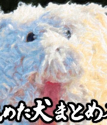 【舐めた犬】舐めた犬まとめ本｜ギャグ・コメディ-評価4.86