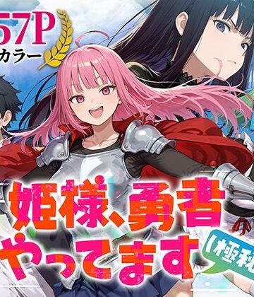 【みーとぱい】姫様、勇者やってます（極秘）｜ファンタジー-評価