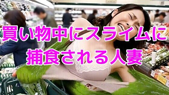【ノーマルアブノーマル】買い物中にスライムに捕食される巨乳人妻｜動画・アニメーション-評価