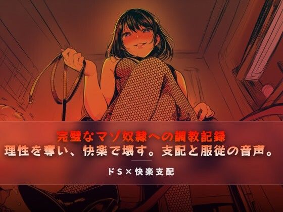【夜の息抜き】完璧なマゾ奴●への調教記録｜言葉責め-評価