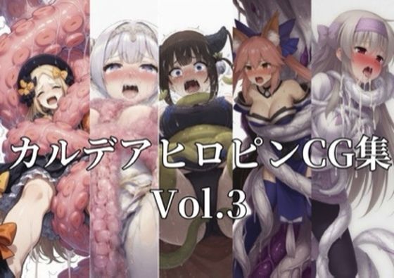 【性癖工房R】カルデアヒロピンCG集vol.3｜拘束-評価
