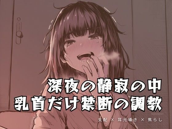 【夜の息抜き】深夜の静寂の中、乳首だけを嬲る禁断の調教｜言葉責め-評価