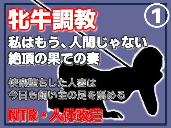 【Aine Grace】【第1巻】人妻を従順な牝牛に改造・覚醒する性欲、背徳の悦楽｜拘束-評価