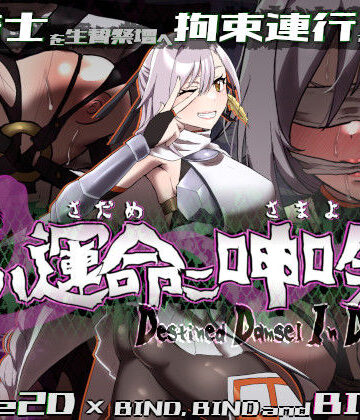 【エーギグ・エーレ・ファウンデーション】姫ハ運命ニ呻吟ヘリ Destined Damsel In Distress｜動画・アニメーション-評価3.00