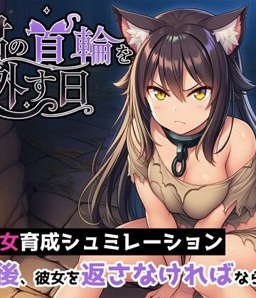 【ヒヒイロカネ密売所】君の首輪を外す日｜ネコミミ・獣系-評価