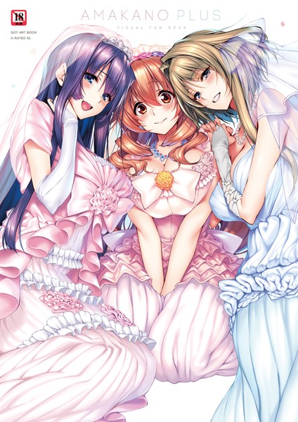 ピロ水●アマカノ＋ ビジュアルファンブック｜ 単行本