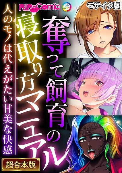 BENETTY●奪って飼育の寝取り方マニュアル 〜人のモノは代えがたい甘美な快感〜【超合本シリーズ】 モザイク版｜ フルカラー