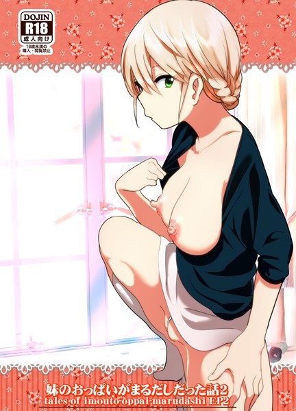 なかにしゆうた●妹のおっぱいがまるだしだった話 2｜ 単話