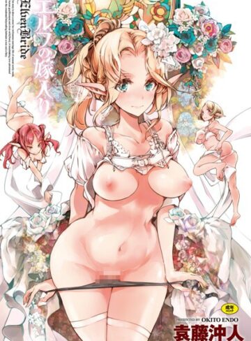 袁藤沖人【エルフの嫁入り】 単行本 評価4.00