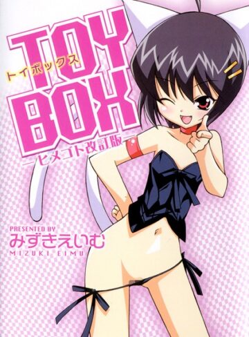 みずきえいむ【TOY BOX -ヒメゴト改訂版-】 単行本