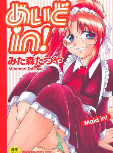 みた森たつや❤めいどin！｜単行本 評価4.00