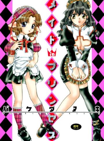 バケダヌキ❤メイドinプリンセス｜ファンタジー