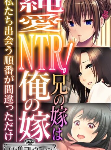 大人のSEXY絵本❤純愛NTR！兄の嫁は俺の嫁 〜私たち出会う順番が間違っただけ〜【CG集コレクション ミニ】｜単行本