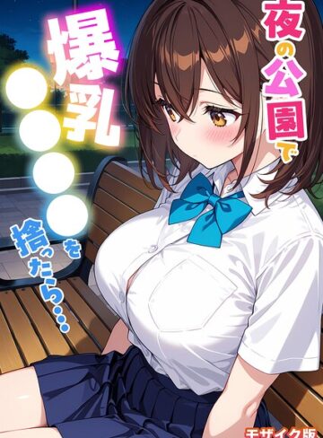 StudioSR❤夜の公園で爆乳●●●●を拾ったら… モザイク版｜フルカラー